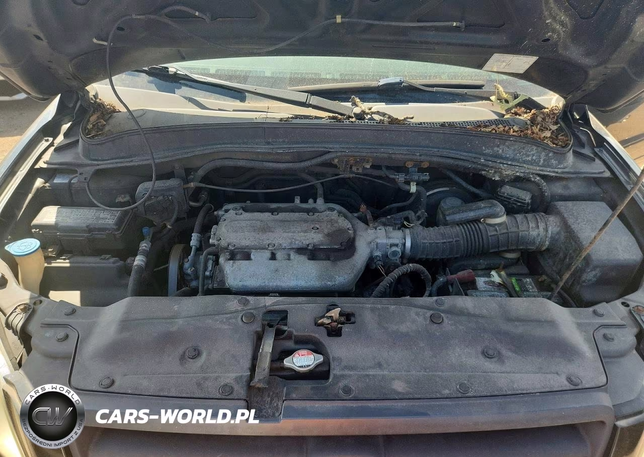 2005 Honda Pilot Exl VIN:2HKYF18745H570389 - 12
