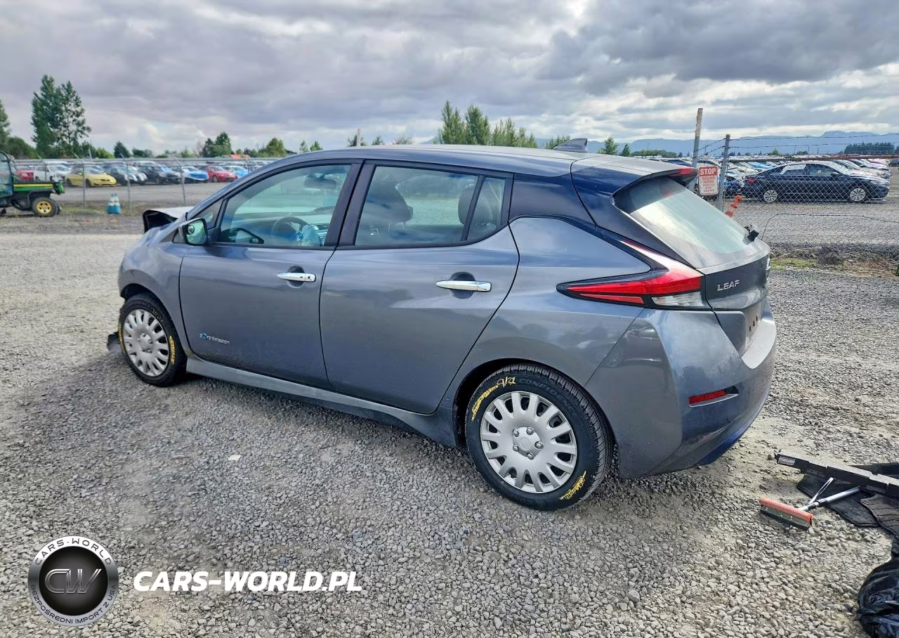 2019 Nissan Leaf S VIN:1N4AZ1CP3KC301863 - 2