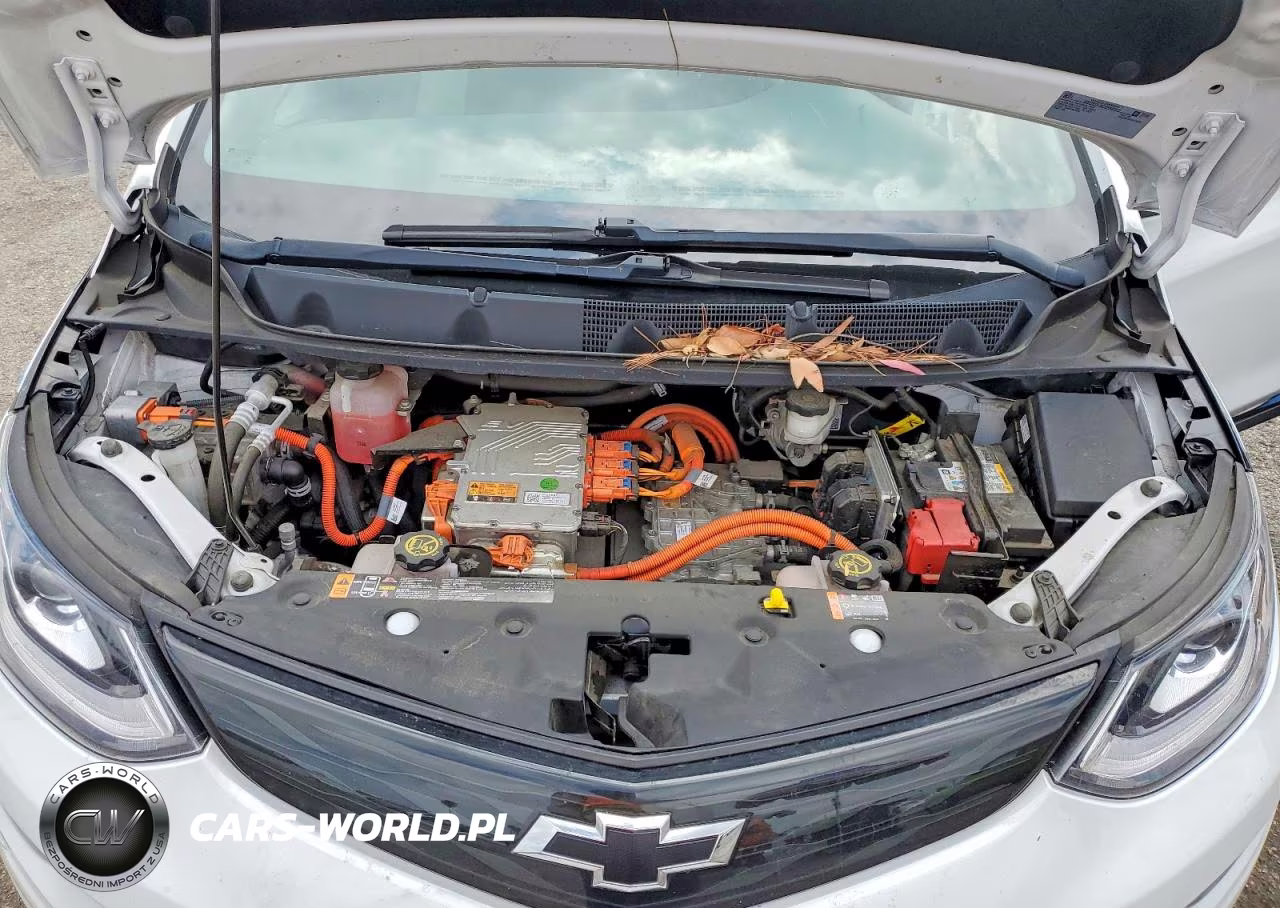 2018 Chevrolet Bolt Ev Lt VIN:1G1FW6S00J4139072 - 12