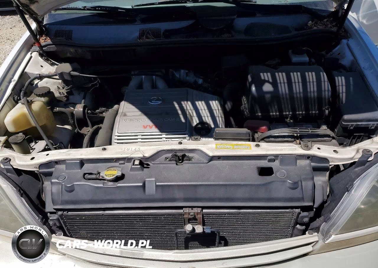 2000 Lexs Rx 300 VIN:JT6HF10U9Y0097597 - 12