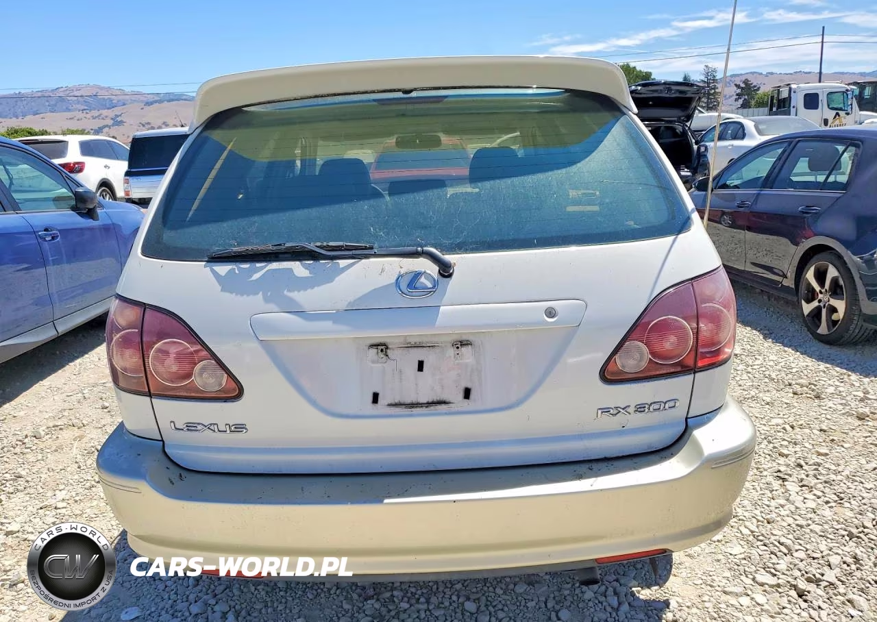 2000 Lexs Rx 300 VIN:JT6HF10U9Y0097597 - 6