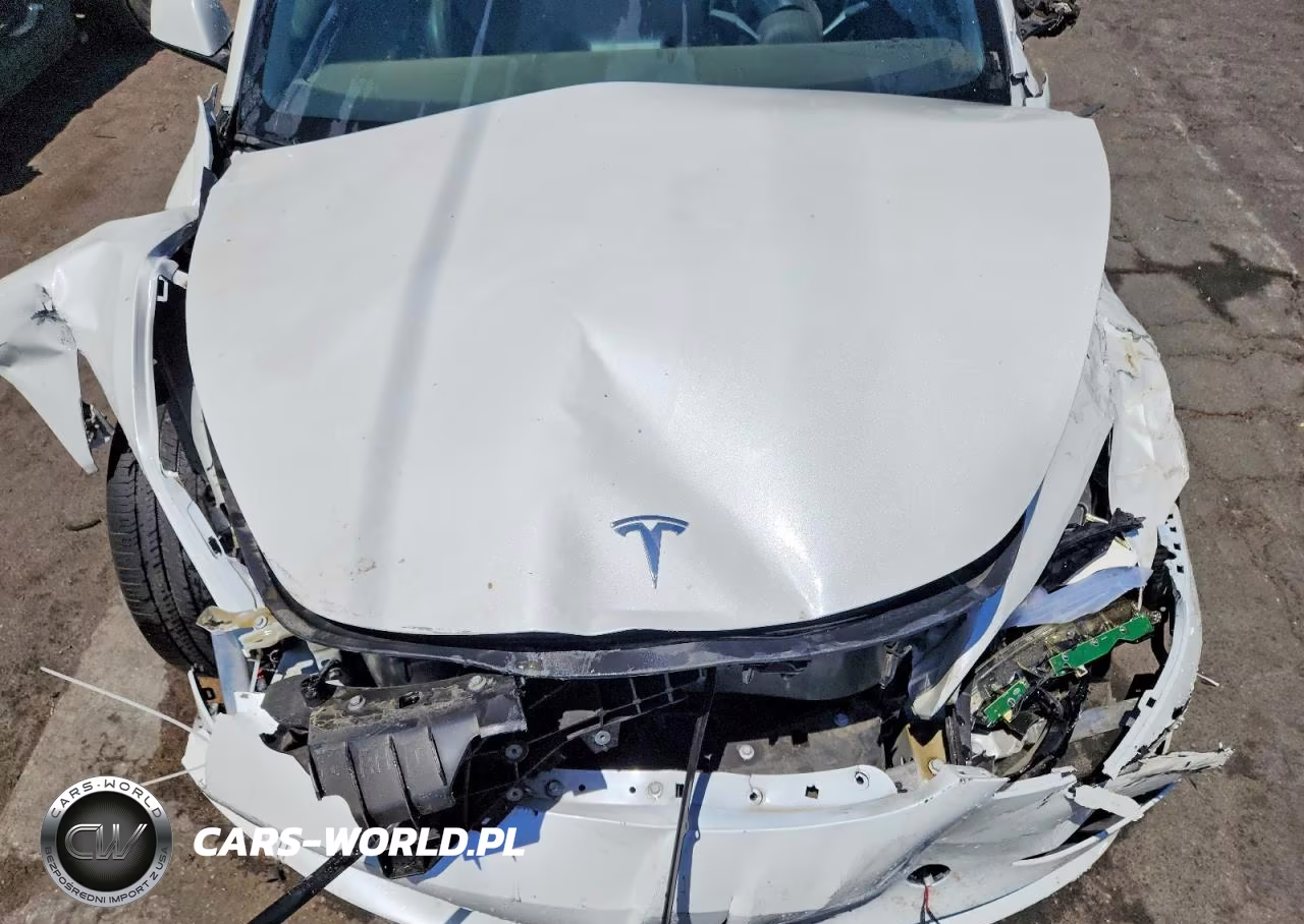 2023 Tesla Model 3 VIN:5YJ3E1EA0PF559789 - 11