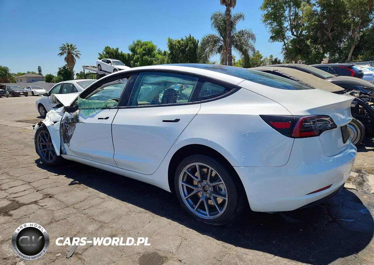 2023 Tesla Model 3 VIN:5YJ3E1EA0PF559789 - 2