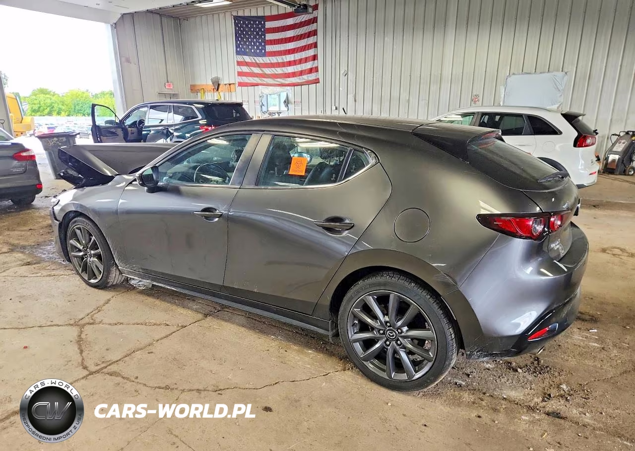 2019 Mazda 3 VIN:JM1BPBJM3K1124990 - 2