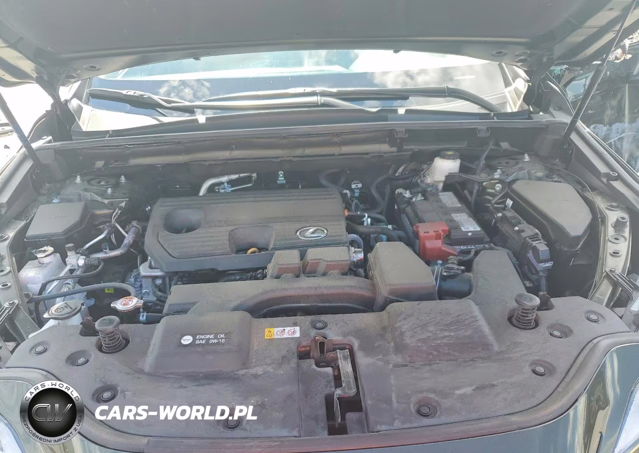 2025 Lexus Nx 250 Premium VIN:2T2GDCAZ2SC020935 - 12