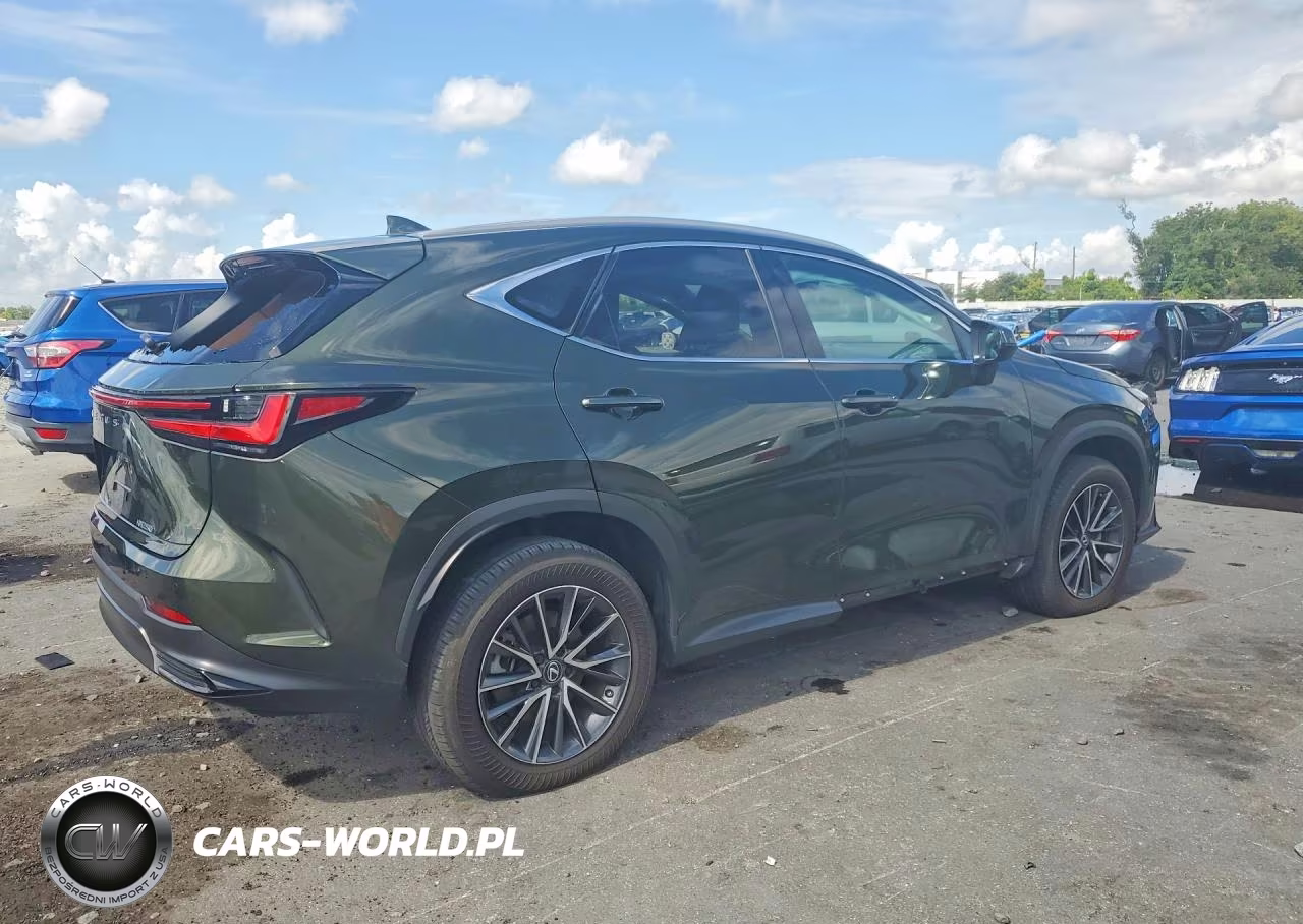 2025 Lexus Nx 250 Premium VIN:2T2GDCAZ2SC020935 - 3