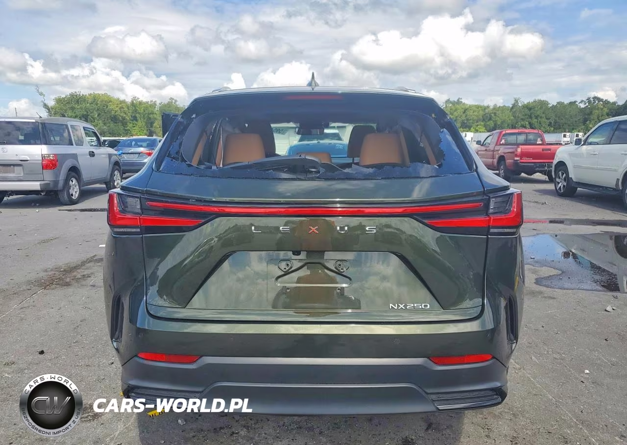 2025 Lexus Nx 250 Premium VIN:2T2GDCAZ2SC020935 - 6