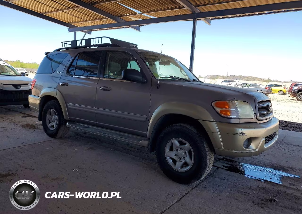 2001 Toyota Sequoia Sr5 VIN:5TDBT44AX1S009989 - 4