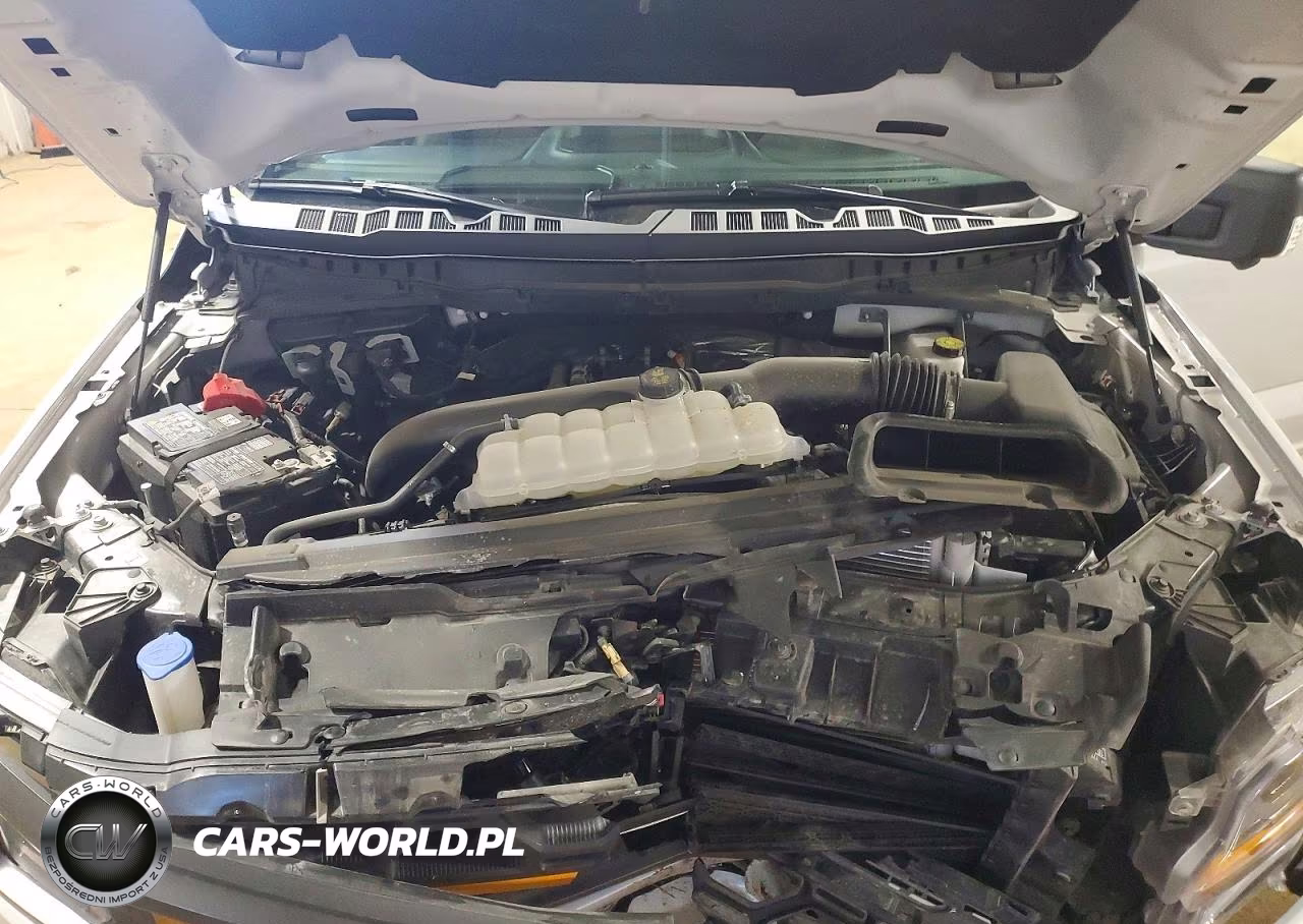2025 Ford F150 Tremor VIN:1FTFW4L87SFC27557 - 11