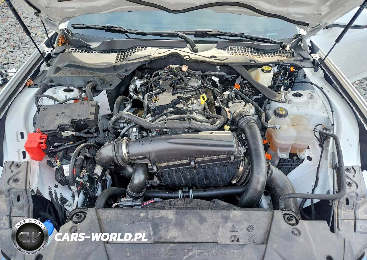 2024 Ford Mustang VIN:1FAGP8UH0R5137518 - 11