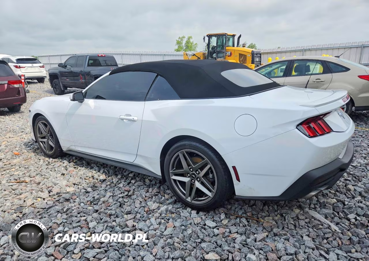 2024 Ford Mustang VIN:1FAGP8UH0R5137518 - 2