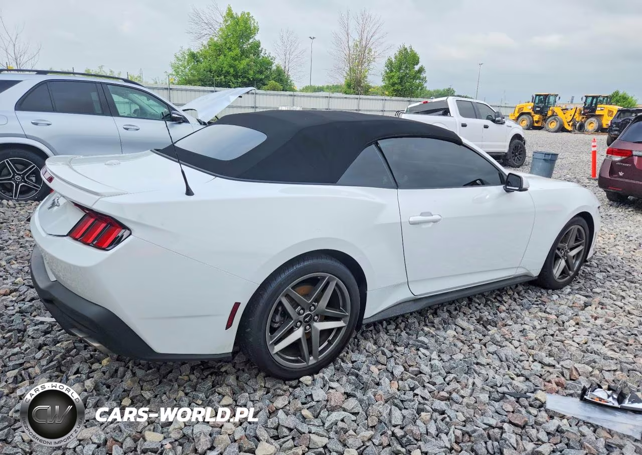 2024 Ford Mustang VIN:1FAGP8UH0R5137518 - 3