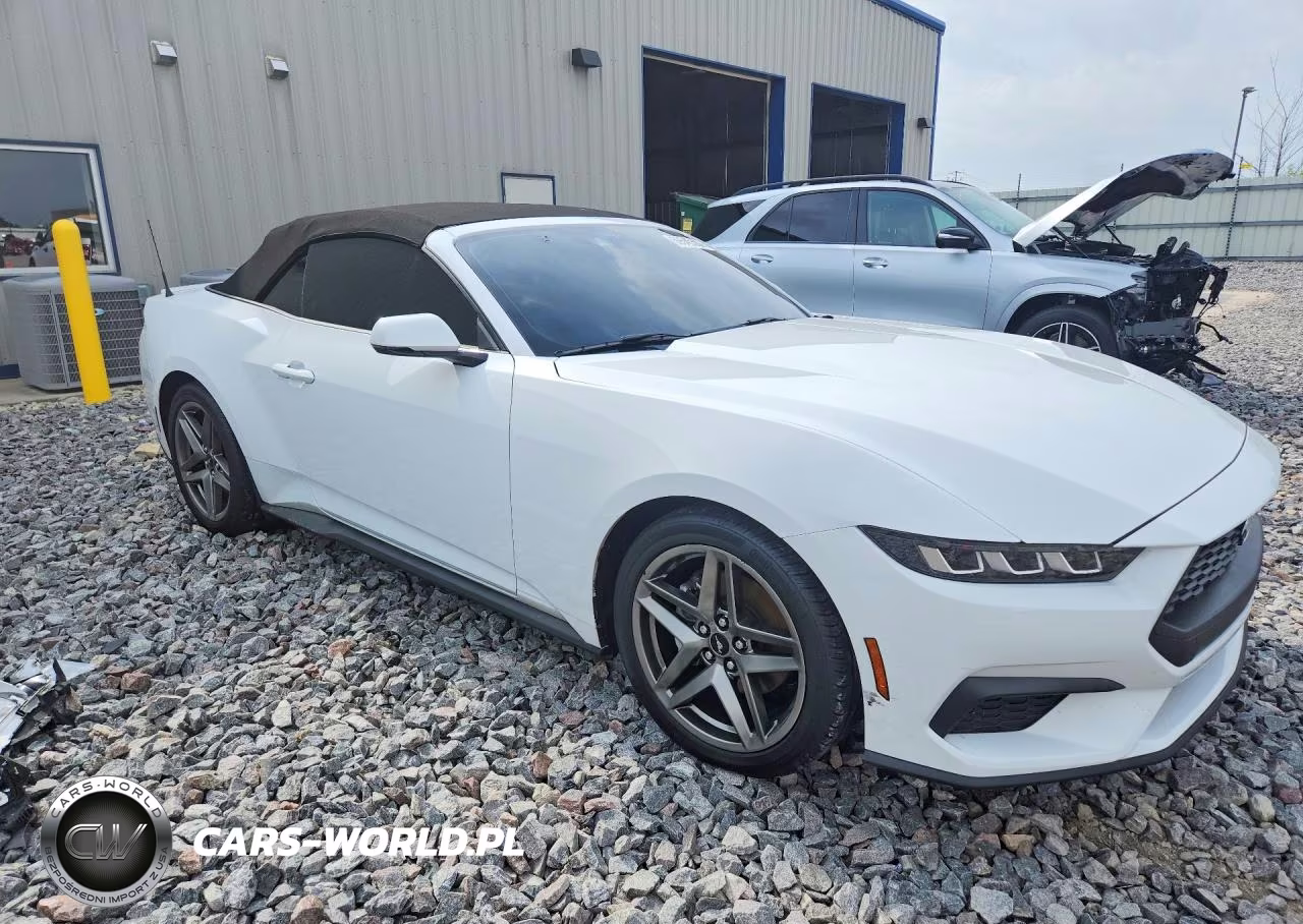 2024 Ford Mustang VIN:1FAGP8UH0R5137518 - 4
