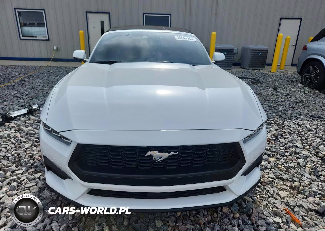 2024 Ford Mustang VIN:1FAGP8UH0R5137518 - 5