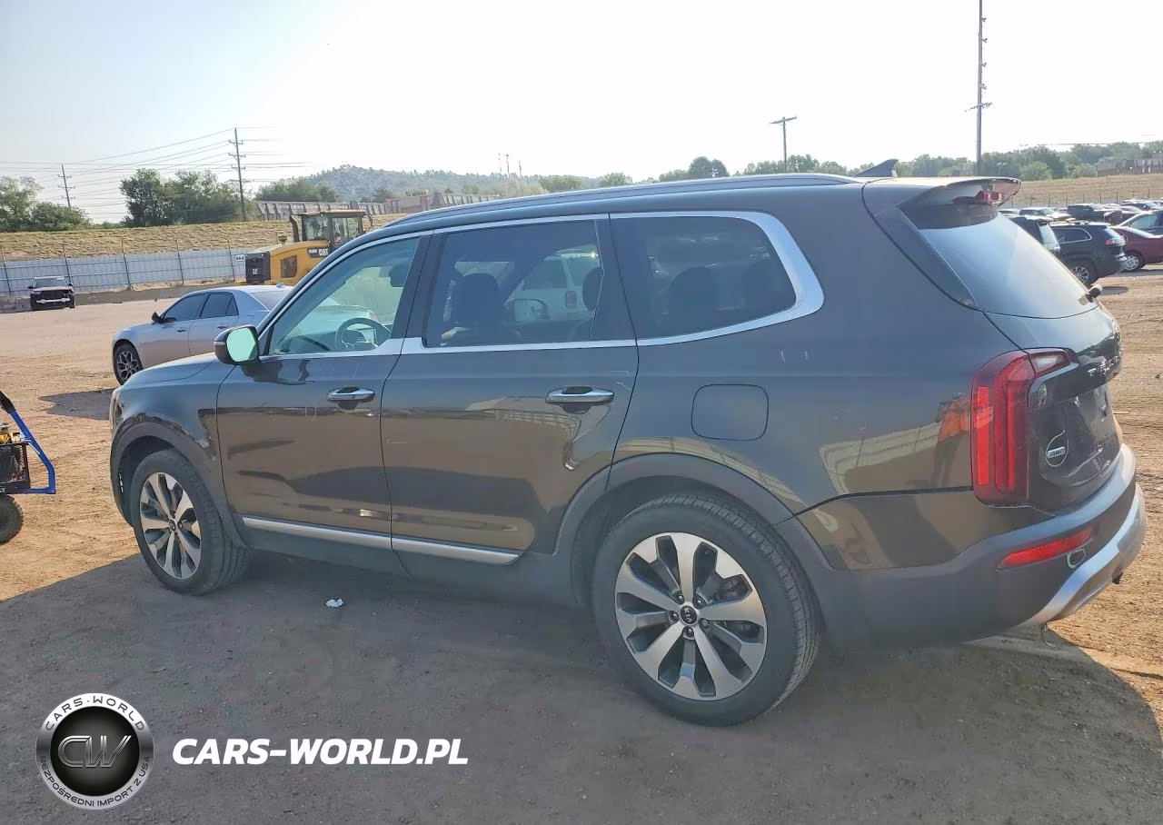 2020 Kia Telluride S VIN:5XYP6DHC5LG013778 - 2