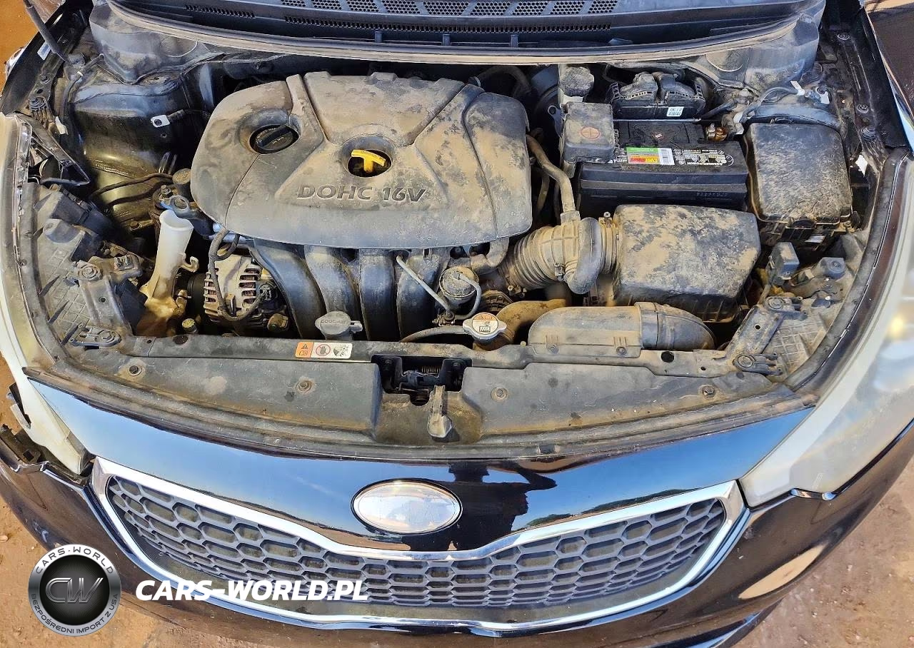 2015 Kia Forte Lx VIN:KNAFK4A68F5313594 - 11