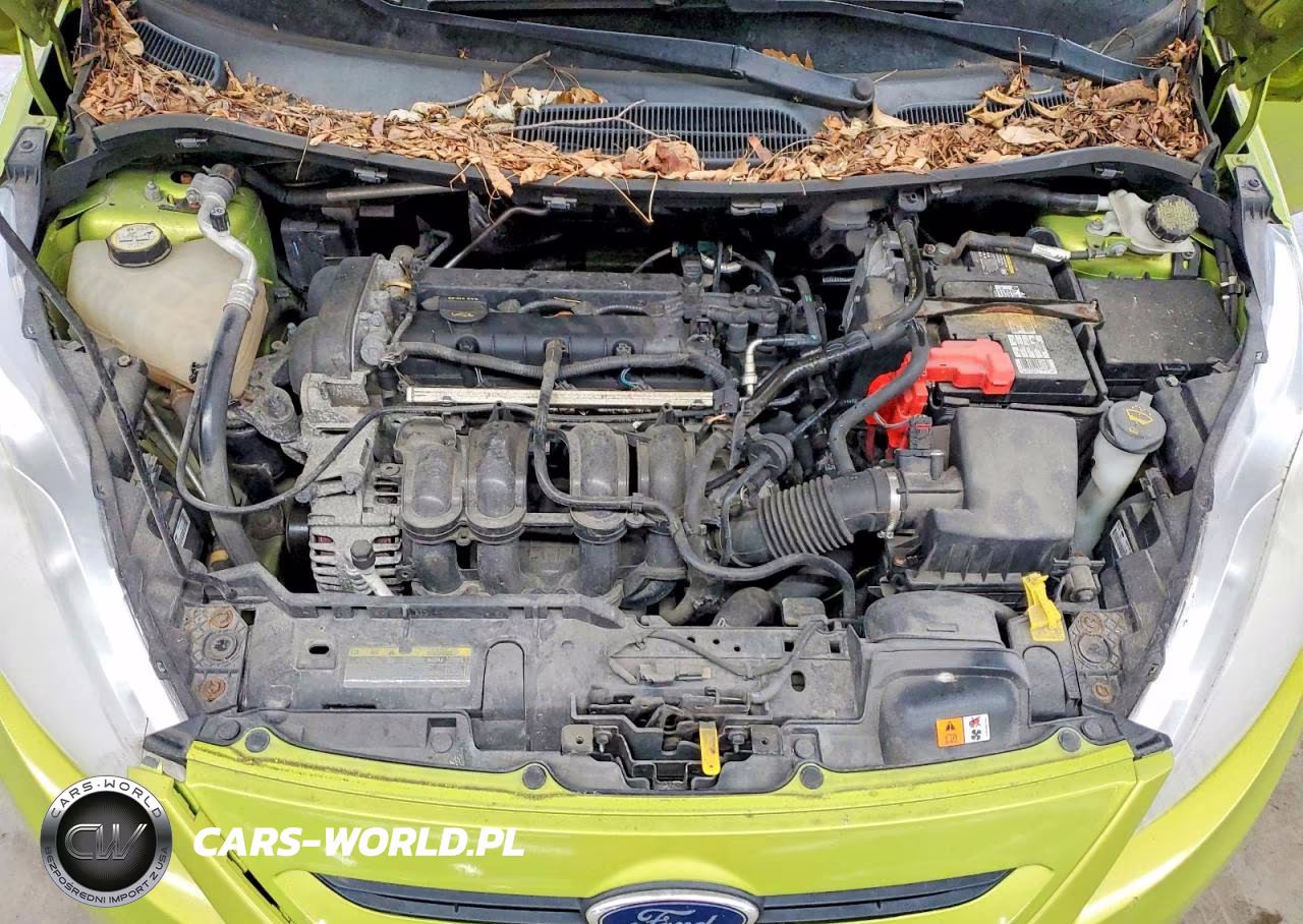 2012 Ford Fiesta Se VIN:3FADP4EJ9CM101860 - 11
