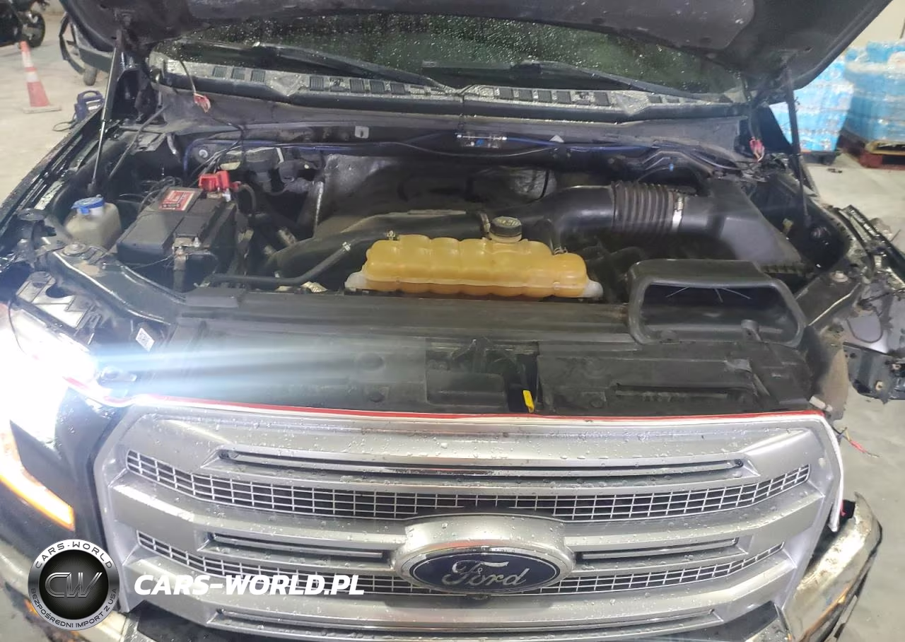2015 Ford F150 Supercrew VIN:1FTEW1EG0FFA55120 - 11