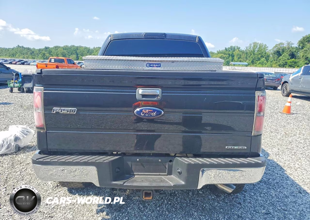 2014 Ford F-150 Xlt VIN:1FTFW1EF9EFC25792 - 6
