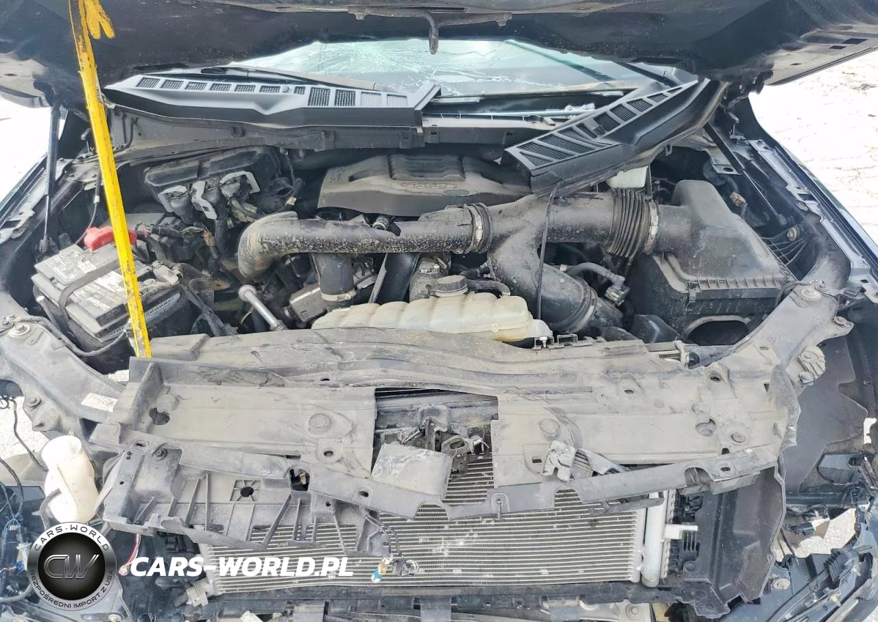 2021 Ford F150 Supercrew VIN:1FTFW1E82MKD44971 - 11