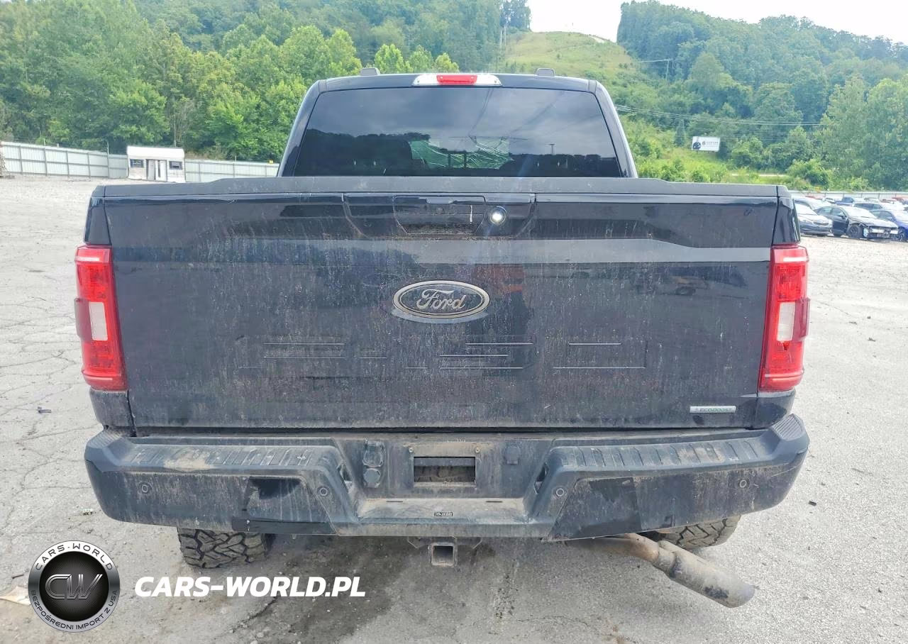 2021 Ford F150 Supercrew VIN:1FTFW1E82MKD44971 - 6