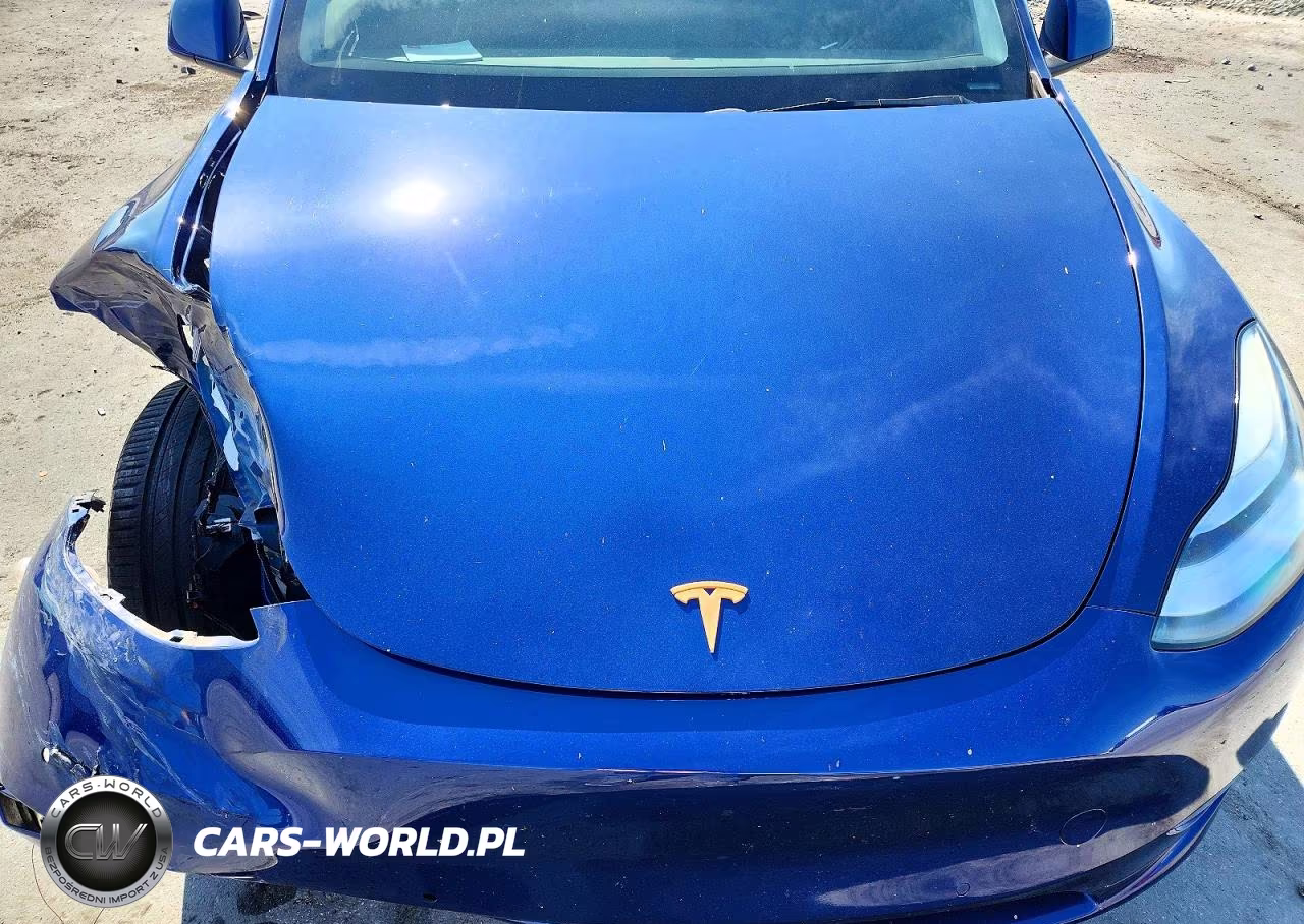 2021 Tesla Model Y VIN:5YJYGDEE1MF138065 - 11
