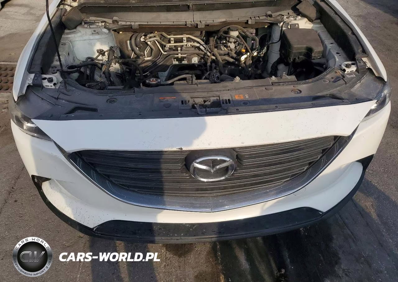 2016 Mazda Cx-9 Touring VIN:JM3TCABY1G0122848 - 12
