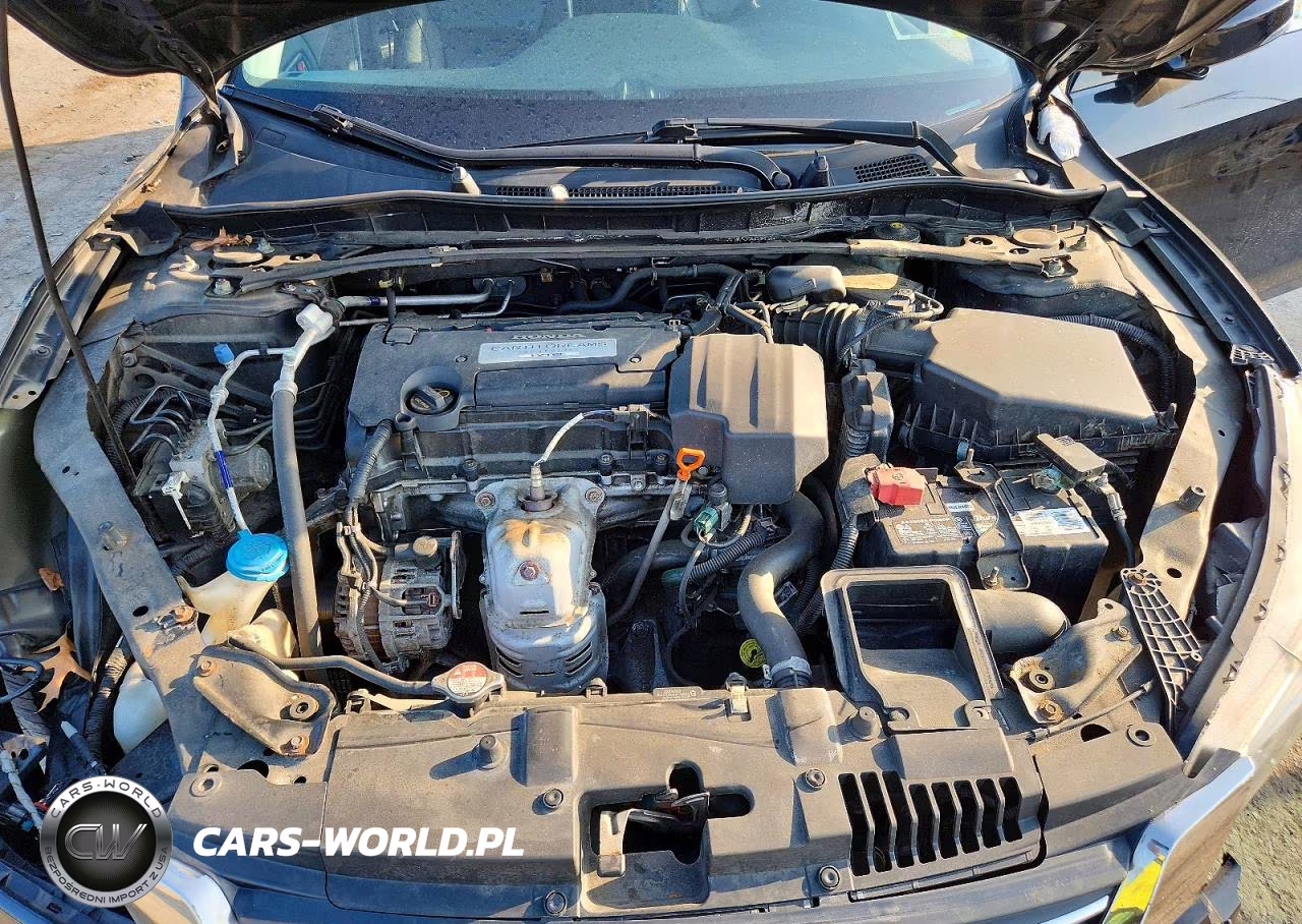 2013 Honda Accord Exl VIN:1HGCR2F80DA041466 - 11