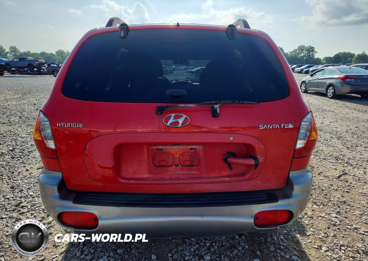 2003 Hyundai Santa Fe Gl VIN:KM8SB12B93U492883 - 6