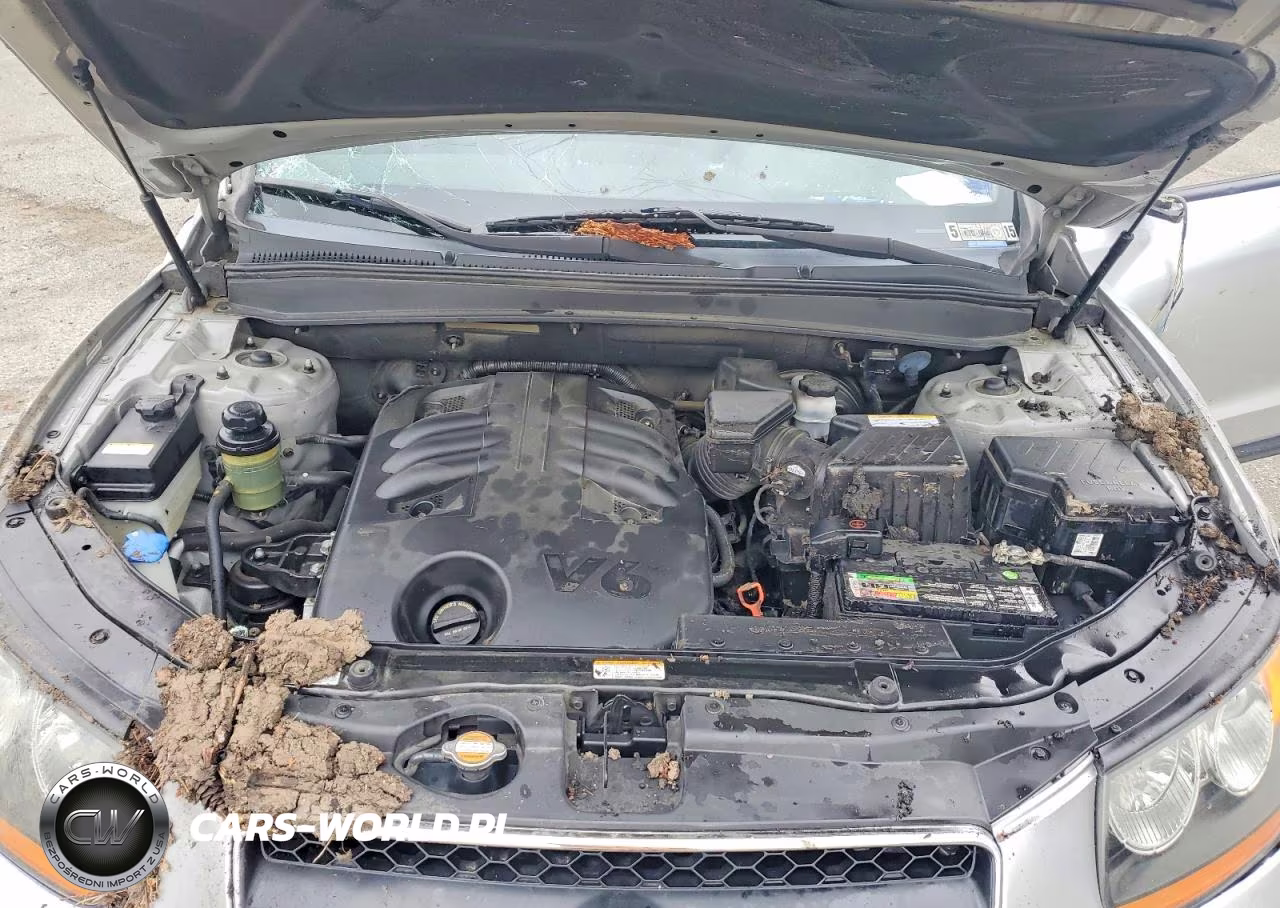 2008 Hyundai Santa Fe Se VIN:5NMSH73E78H223312 - 12