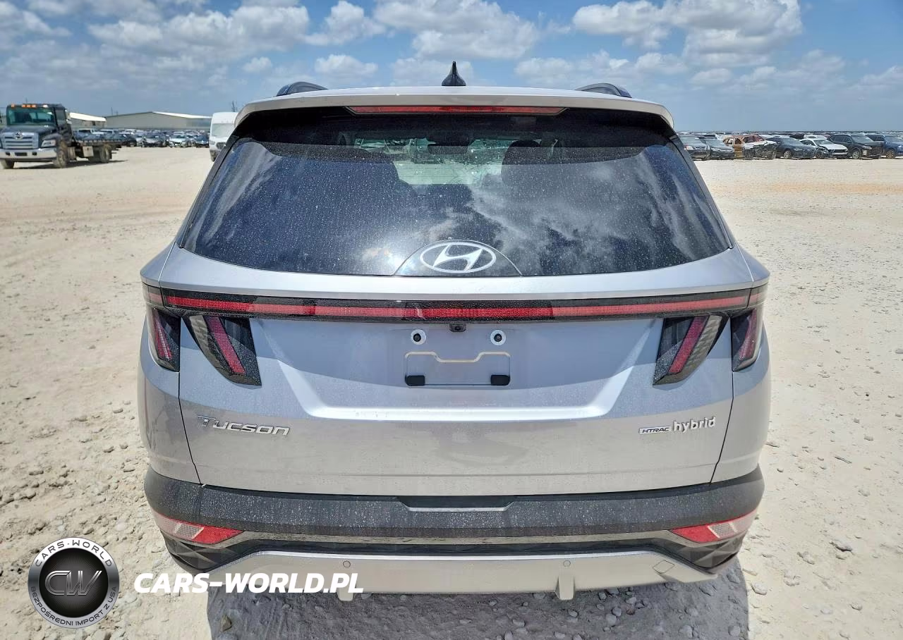 2024 Hyundai Tucson Limited VIN:KM8JECD1XRU149656 - 6