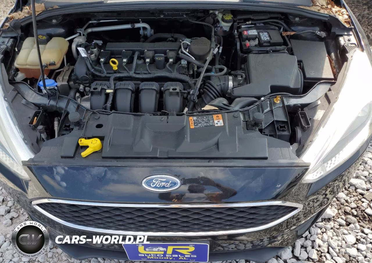 2015 Ford Focus Se VIN:1FADP3F22FL335040 - 11
