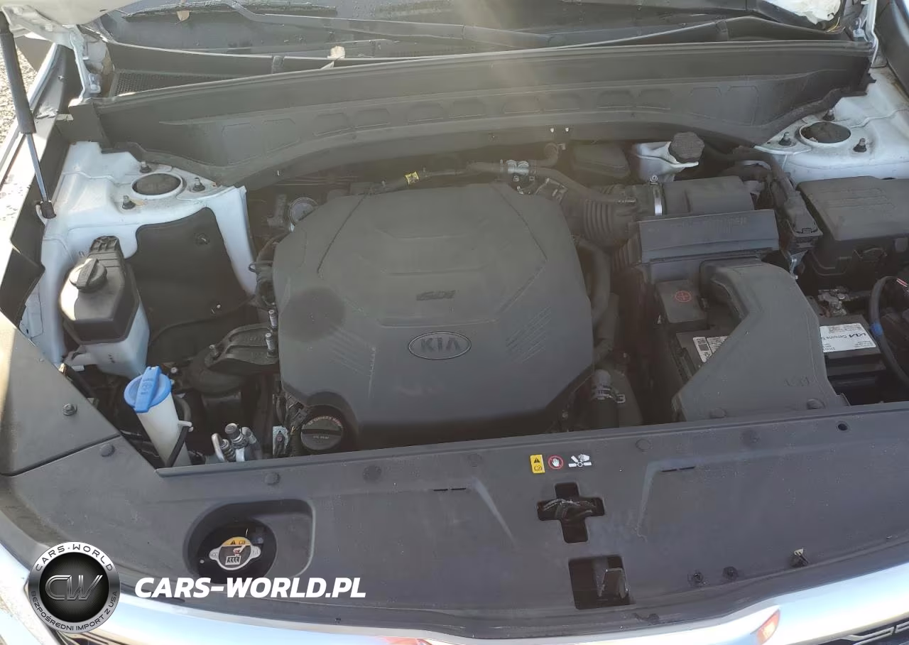 2020 Kia Telluride S VIN:5XYP64HC8LG047441 - 12