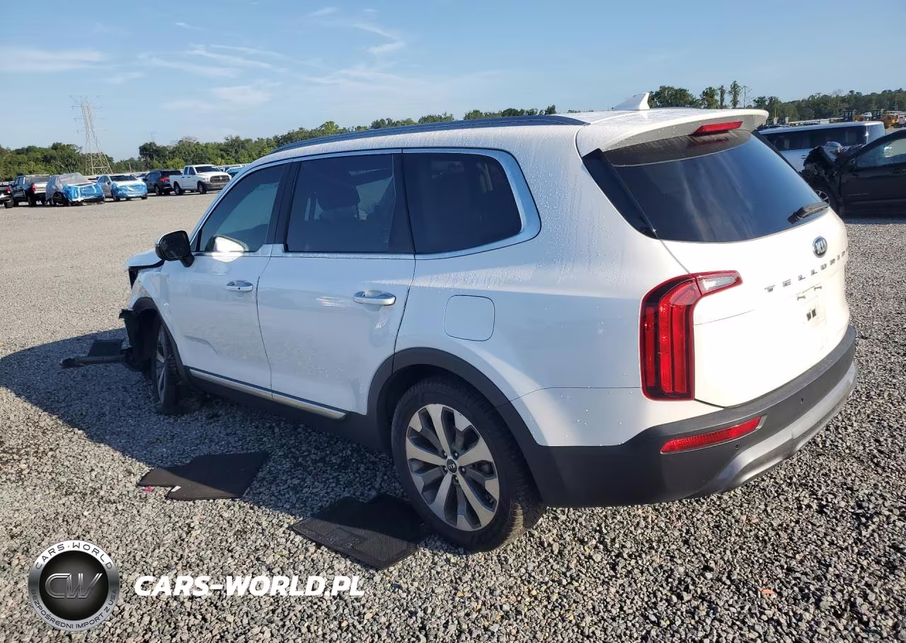2020 Kia Telluride S VIN:5XYP64HC8LG047441 - 2