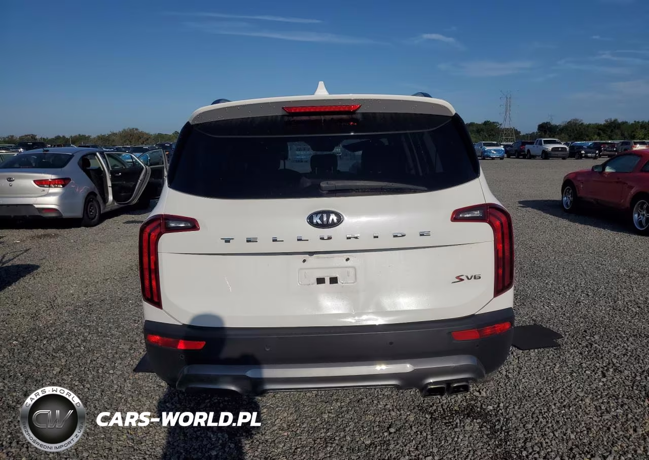 2020 Kia Telluride S VIN:5XYP64HC8LG047441 - 6
