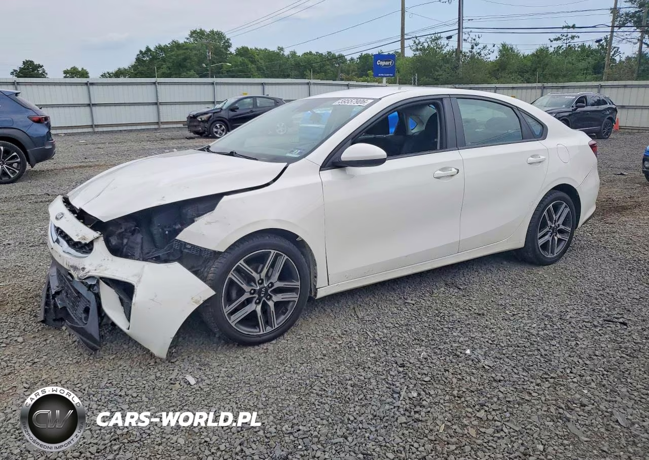 2019 Kia Forte S VIN:3KPF34AD0KE071221 - 1
