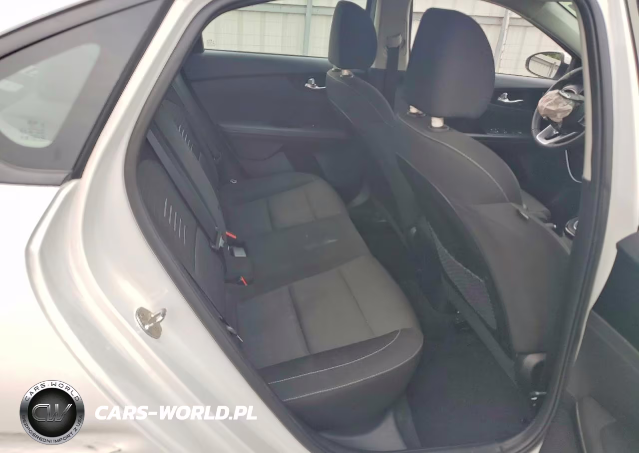 2019 Kia Forte S VIN:3KPF34AD0KE071221 - 10