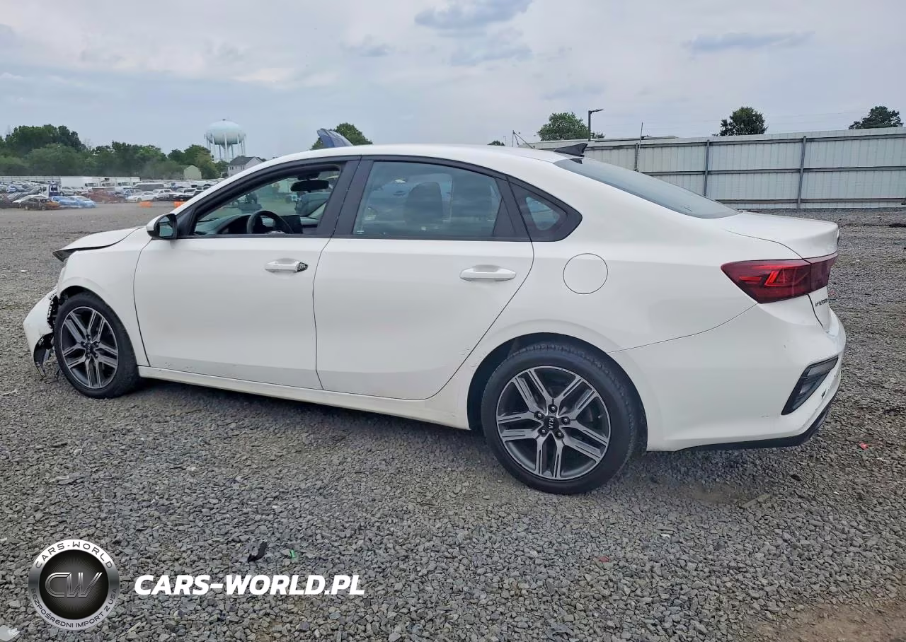 2019 Kia Forte S VIN:3KPF34AD0KE071221 - 2