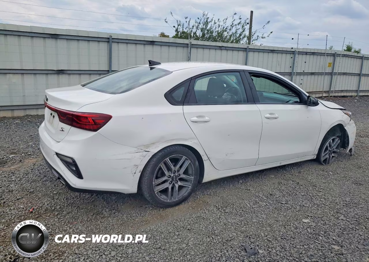 2019 Kia Forte S VIN:3KPF34AD0KE071221 - 3