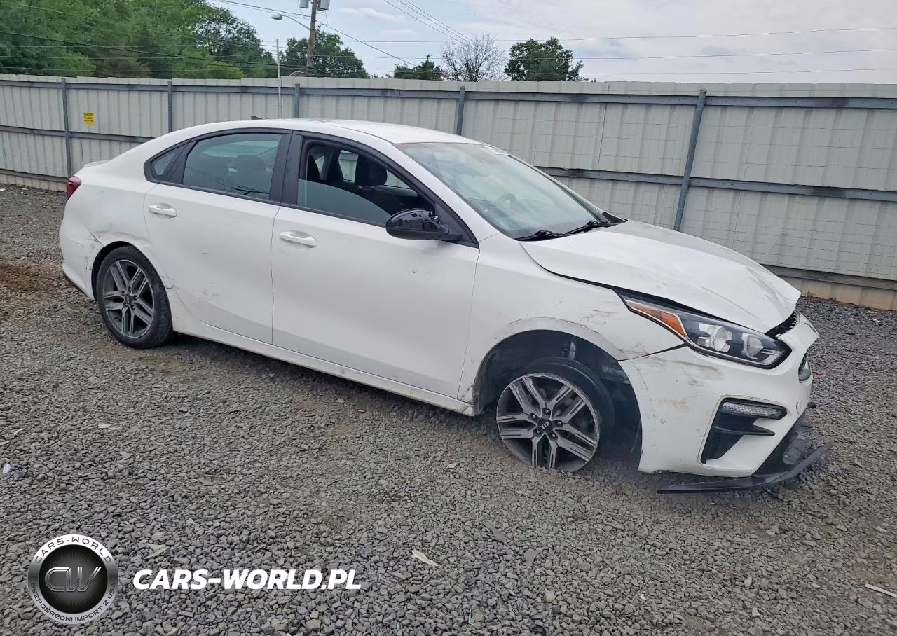 2019 Kia Forte S VIN:3KPF34AD0KE071221 - 4