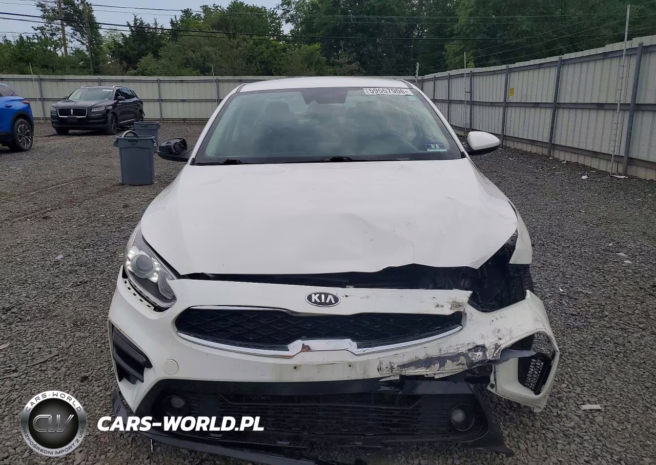 2019 Kia Forte S VIN:3KPF34AD0KE071221 - 5