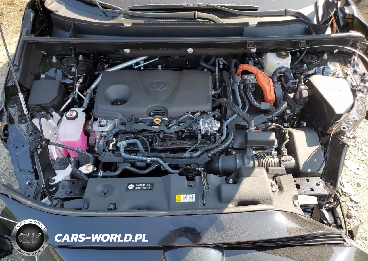 2023 Toyota Rav4 VIN:4T3T6RFV7PU118068 - 12