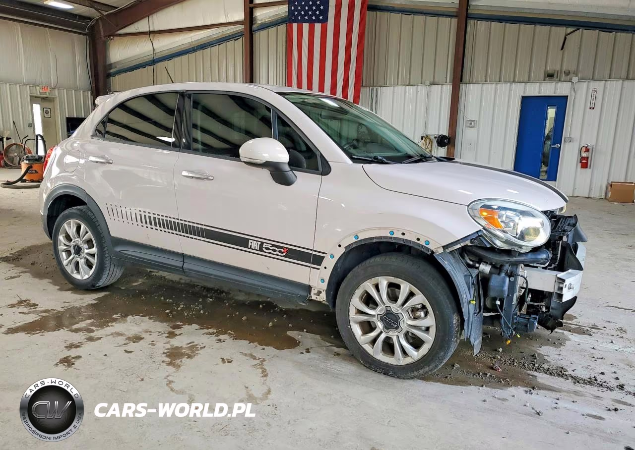 2016 Fiat 500X Trekking VIN:ZFBCFXCT0GP333341 - 4