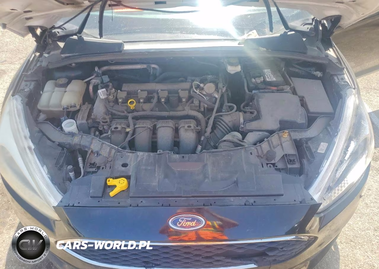 2018 Ford Focus Se VIN:1FADP3F24JL218262 - 11