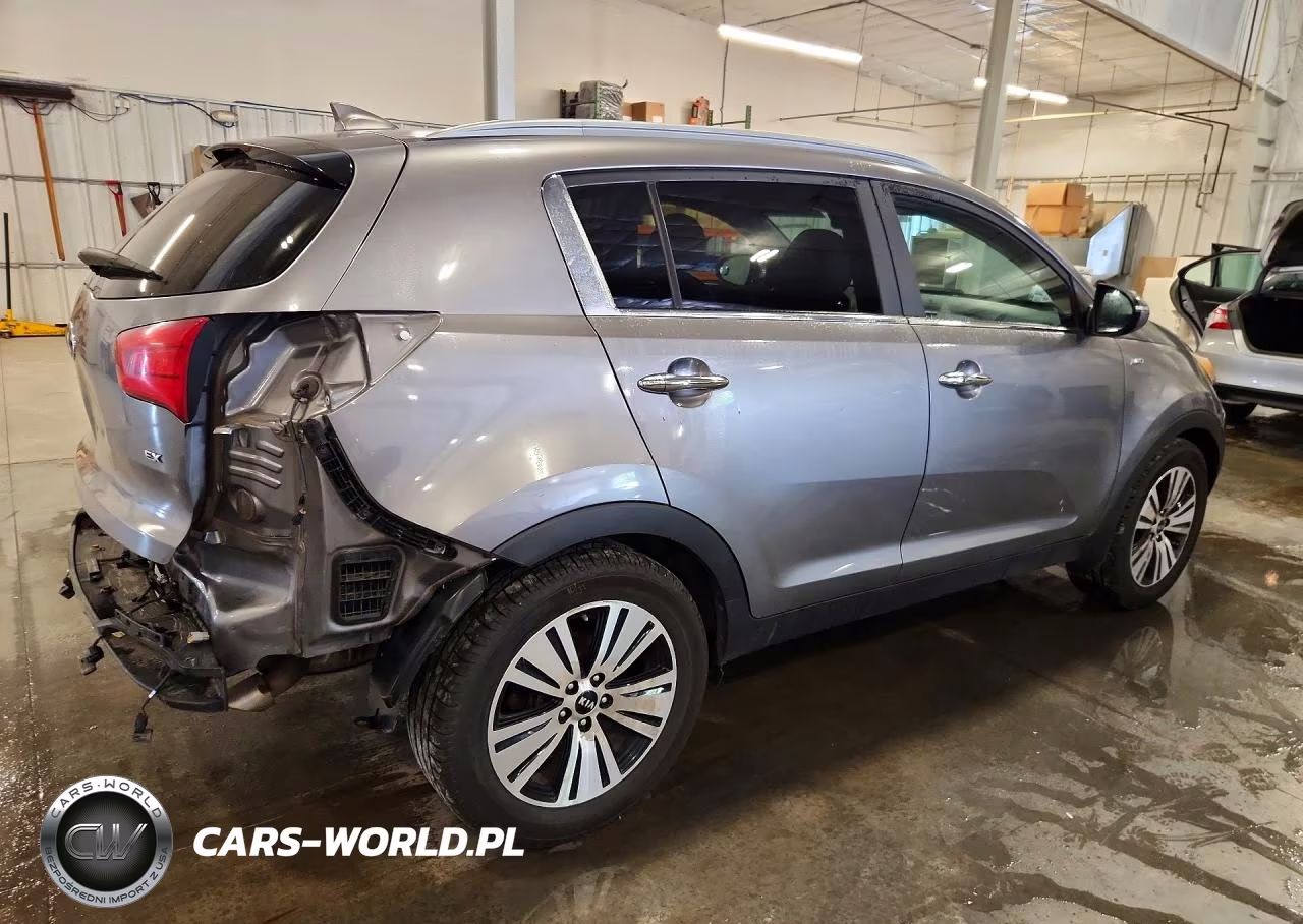 2016 Kia Sportage Ex VIN:KNDPCCAC7G7803356 - 3