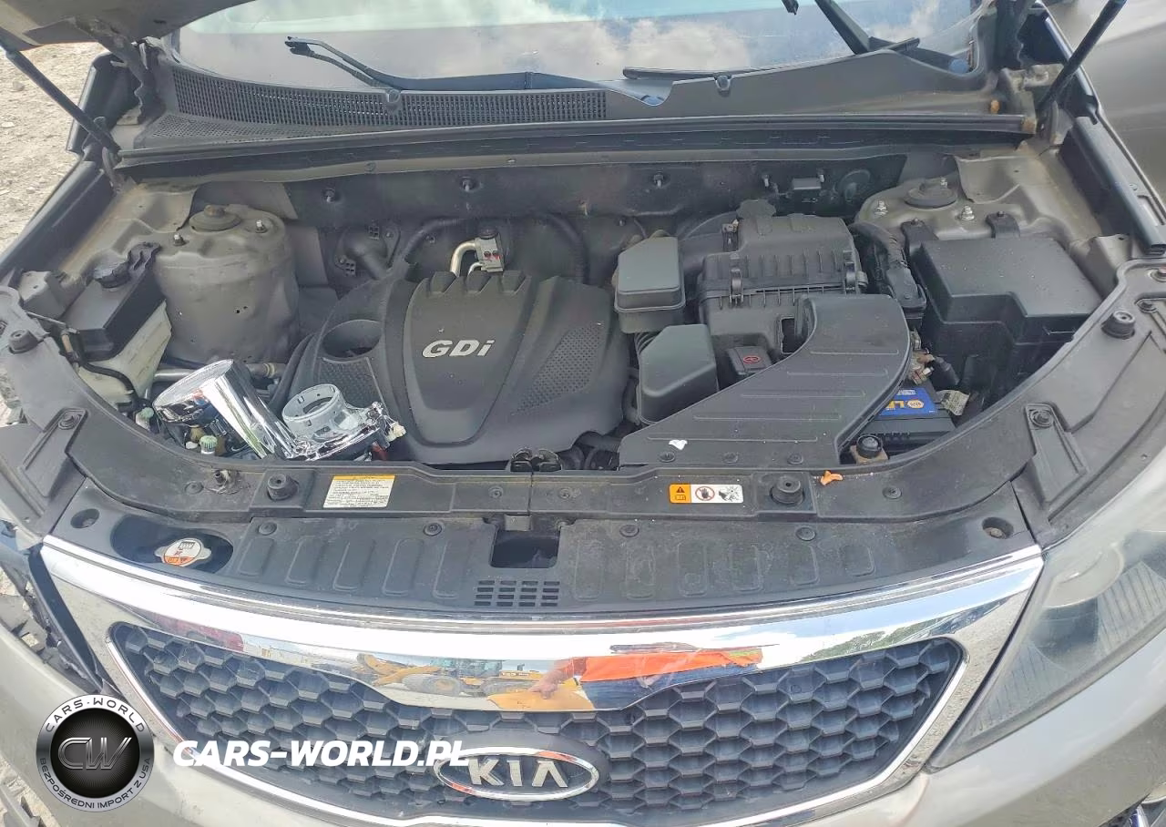 2013 Kia Sorento Lx VIN:5XYKT3A69DG381206 - 12