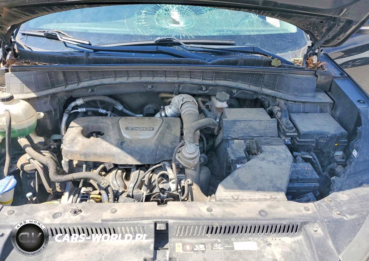 2017 Hyundai Tucson Sport VIN:KM8J3CA22HU398468 - 12
