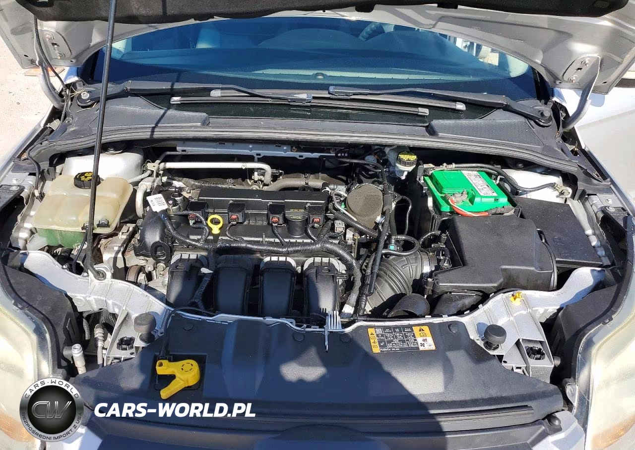 2014 Ford Focus Se VIN:1FADP3F24EL455064 - 11