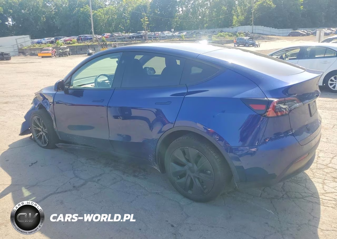 2025 Tesla Model Y VIN:7SAYGDEEXSA339749 - 2