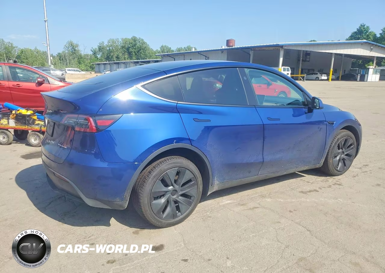2025 Tesla Model Y VIN:7SAYGDEEXSA339749 - 3